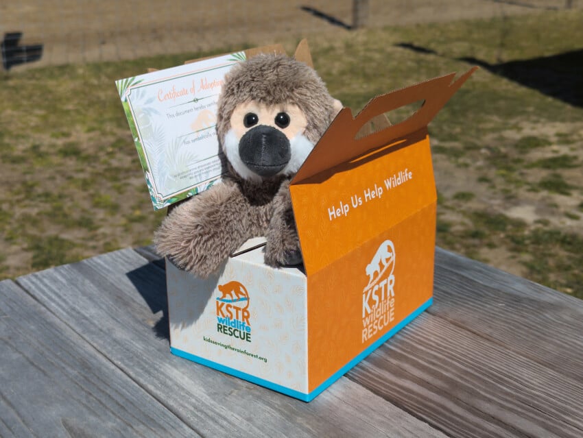 Buy a "squirrel monkey adoption kit" and support KSTR's Mission